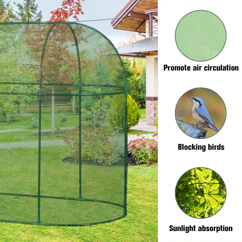 Aoodor Crop Cage 10' x 3.3' x 5' Plant Protection Tent, Fruit Cage Netting Cover & Reviews Wayfair